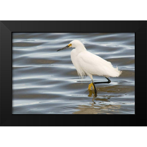 Fishin Black Modern Wood Framed Art Print by Murdock, Ramona