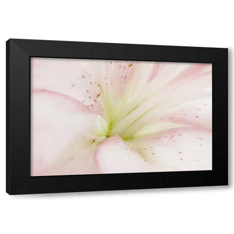 Lily Centered Black Modern Wood Framed Art Print with Double Matting by Murdock, Ramona