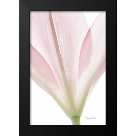 Transparent Lily I Black Modern Wood Framed Art Print by Murdock, Ramona
