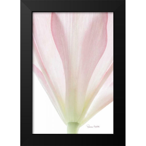 Transparent Lily II Black Modern Wood Framed Art Print by Murdock, Ramona