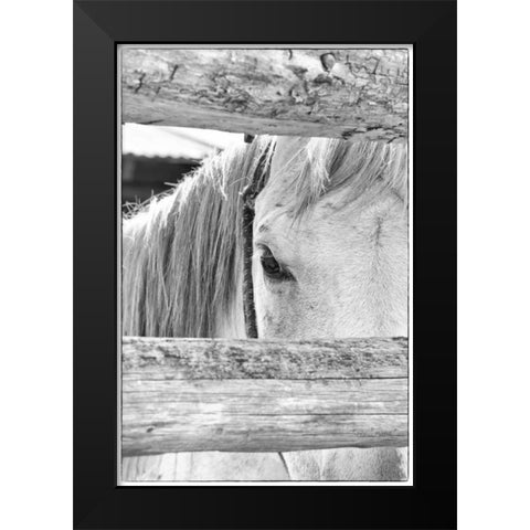 Peek B and W Black Modern Wood Framed Art Print by Murdock, Ramona
