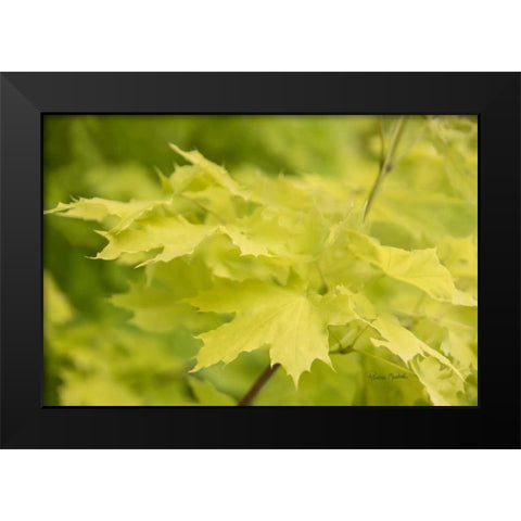 Spring Leaves I Black Modern Wood Framed Art Print by Murdock, Ramona
