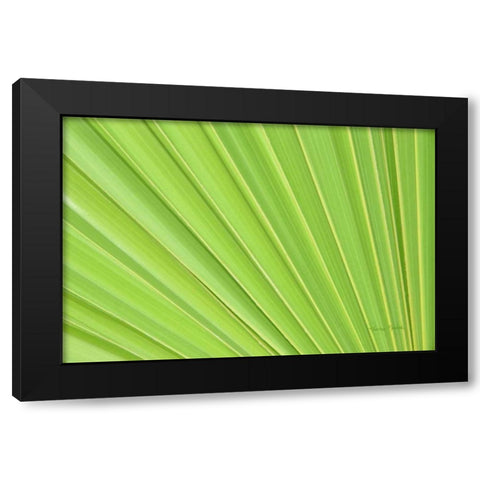 Perfect Black Modern Wood Framed Art Print by Murdock, Ramona