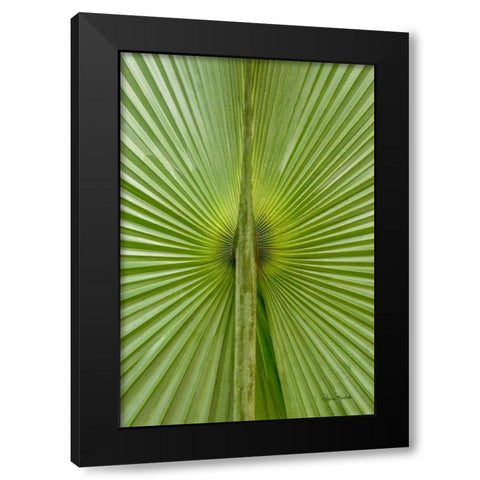 New Perspective Black Modern Wood Framed Art Print by Murdock, Ramona