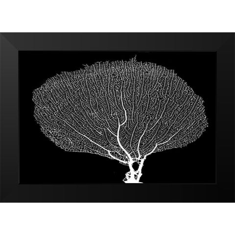 Fan Coral Drama Black Modern Wood Framed Art Print by Murdock, Ramona
