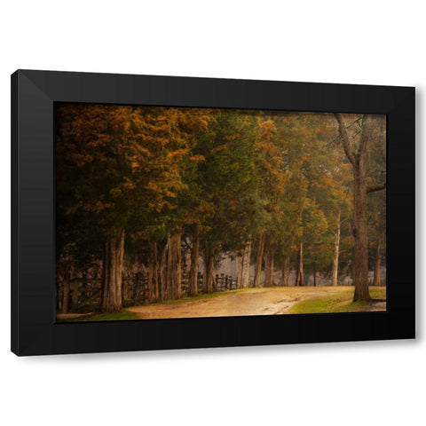 A Road Less Traveled Black Modern Wood Framed Art Print with Double Matting by Murdock, Ramona