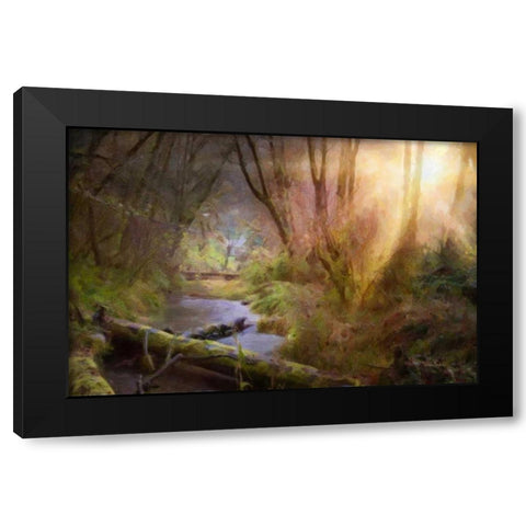 Light Burst Black Modern Wood Framed Art Print by Murdock, Ramona