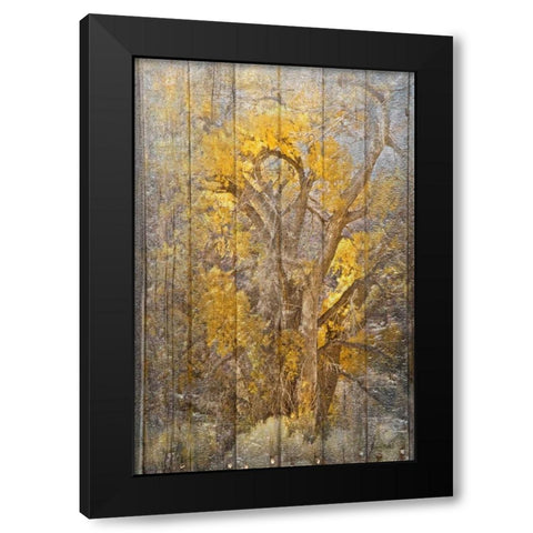 Autumn Tree Black Modern Wood Framed Art Print with Double Matting by Murdock, Ramona