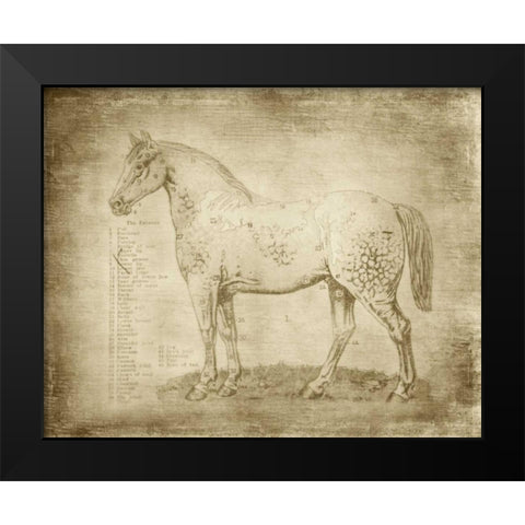 Horse Anatomy 101 Black Modern Wood Framed Art Print by Murdock, Ramona