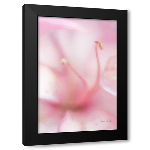 Softness Black Modern Wood Framed Art Print by Murdock, Ramona
