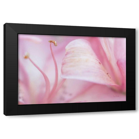 Fairy Land Black Modern Wood Framed Art Print by Murdock, Ramona