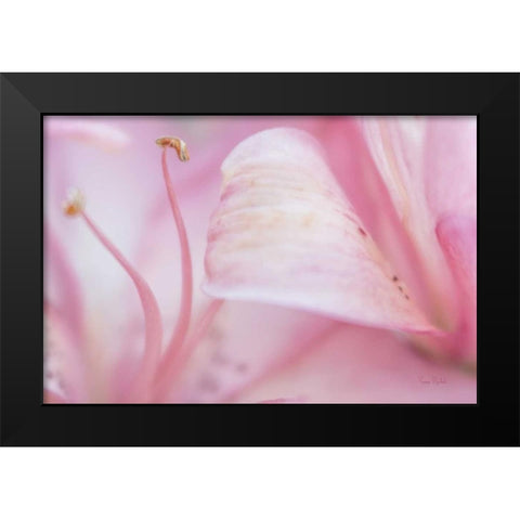 Fairy Land Black Modern Wood Framed Art Print by Murdock, Ramona