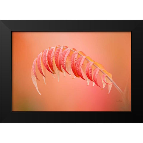 Sumac Branch Black Modern Wood Framed Art Print by Murdock, Ramona