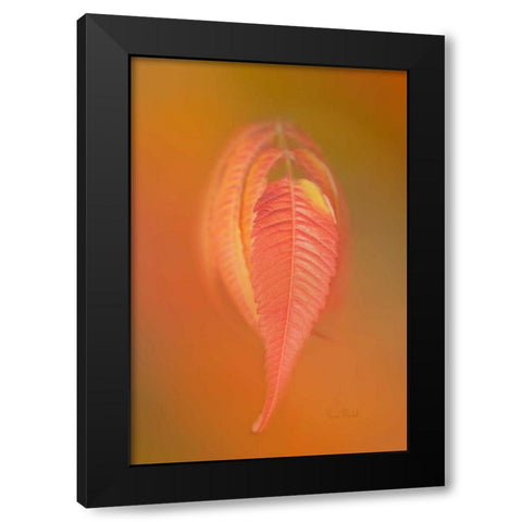 Sumac Leaf Black Modern Wood Framed Art Print with Double Matting by Murdock, Ramona