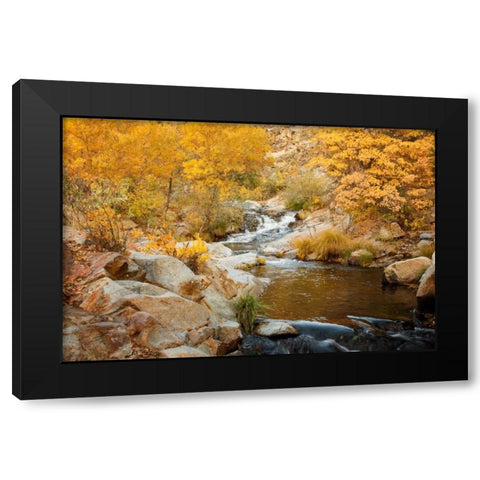 Fall Creek Black Modern Wood Framed Art Print by Murdock, Ramona