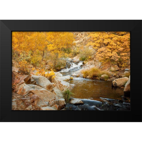 Fall Creek Black Modern Wood Framed Art Print by Murdock, Ramona