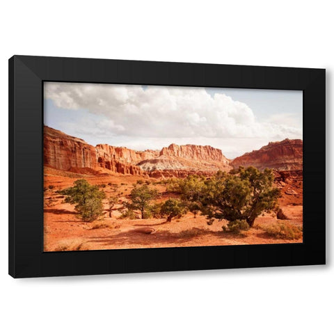 Capital Reef Utah Black Modern Wood Framed Art Print with Double Matting by Murdock, Ramona