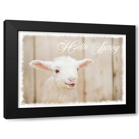Hello Spring Lamb Black Modern Wood Framed Art Print with Double Matting by Murdock, Ramona