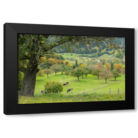 Peaceful Pasture Black Modern Wood Framed Art Print with Double Matting by Murdock, Ramona