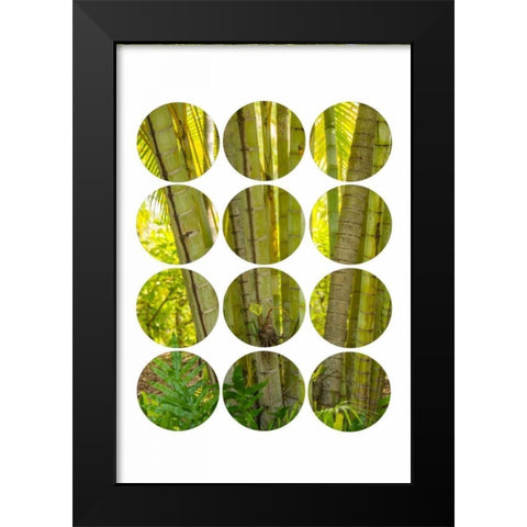 Bamboo Trees Black Modern Wood Framed Art Print by Murdock, Ramona
