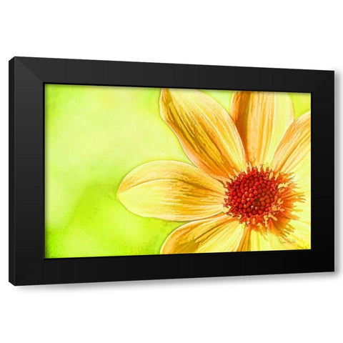 Daisy Glow Black Modern Wood Framed Art Print with Double Matting by Murdock, Ramona