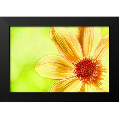 Daisy Glow Black Modern Wood Framed Art Print by Murdock, Ramona
