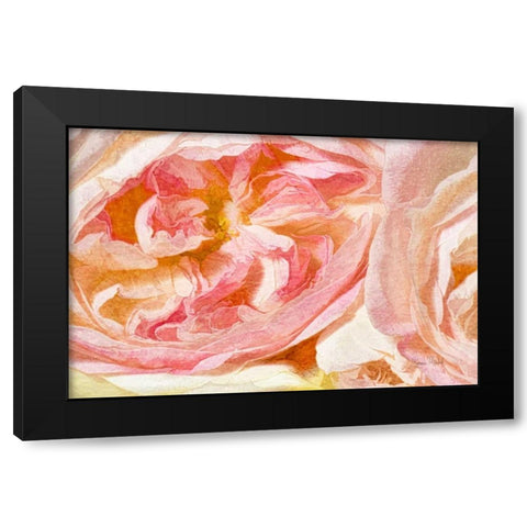 Cuddle Up Black Modern Wood Framed Art Print with Double Matting by Murdock, Ramona