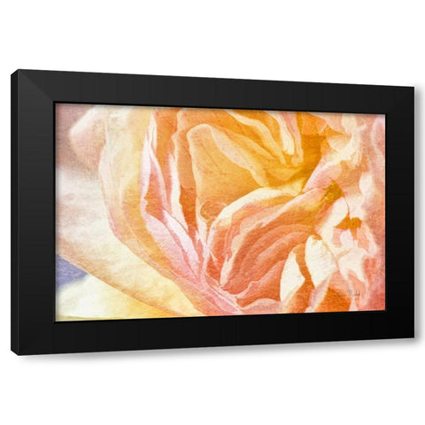 Dew Drop In Black Modern Wood Framed Art Print with Double Matting by Murdock, Ramona