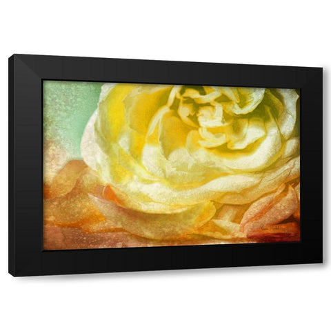 Many Petals Black Modern Wood Framed Art Print with Double Matting by Murdock, Ramona