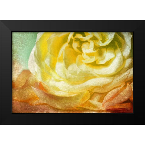 Many Petals Black Modern Wood Framed Art Print by Murdock, Ramona