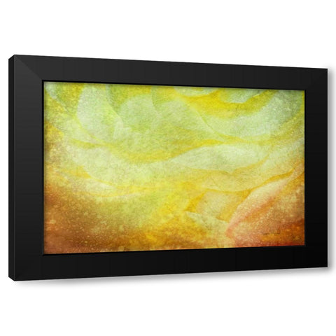 Subtle Petals Black Modern Wood Framed Art Print with Double Matting by Murdock, Ramona