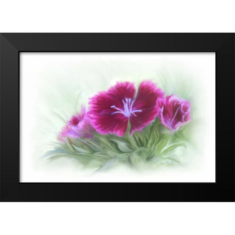 Bachelor Buttons III Black Modern Wood Framed Art Print by Murdock, Ramona