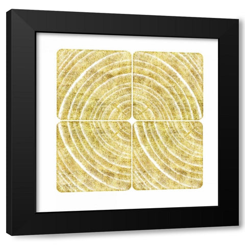 Tree Ring Triptych I Black Modern Wood Framed Art Print with Double Matting by Murdock, Ramona