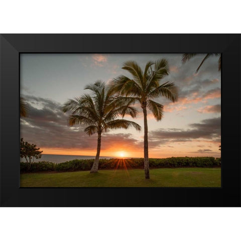 Sunset Palms Black Modern Wood Framed Art Print by Murdock, Ramona