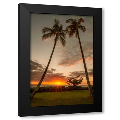 Sunset Palms II Black Modern Wood Framed Art Print with Double Matting by Murdock, Ramona