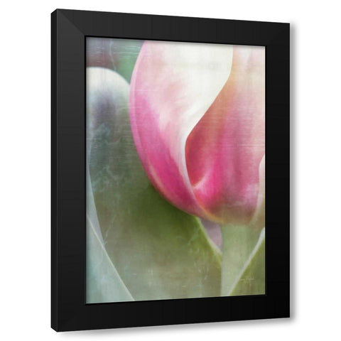 Spring Beauty IV Black Modern Wood Framed Art Print by Murdock, Ramona