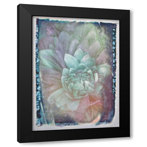 Midnight Mystery III Black Modern Wood Framed Art Print by Murdock, Ramona