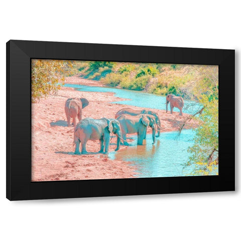 Waterhole Rendezvous II Black Modern Wood Framed Art Print by Murdock, Ramona