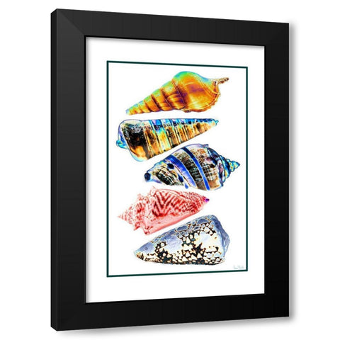 Seashell Collection II Black Modern Wood Framed Art Print by Murdock, Ramona