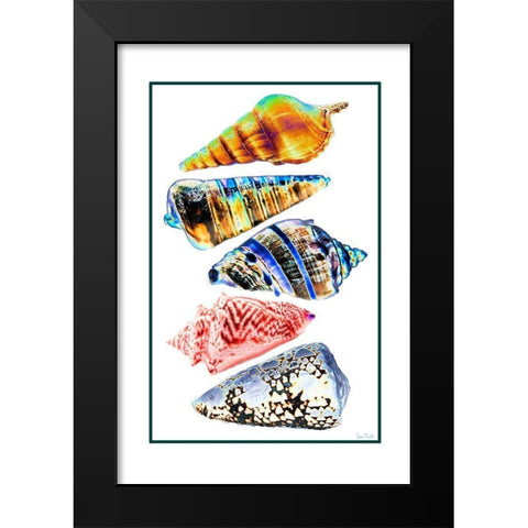 Seashell Collection II Black Modern Wood Framed Art Print by Murdock, Ramona