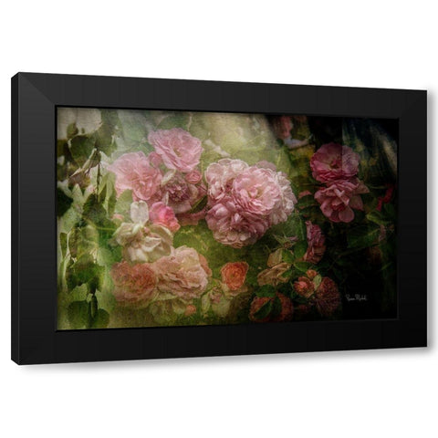 Evening Light on Roses I Black Modern Wood Framed Art Print by Murdock, Ramona