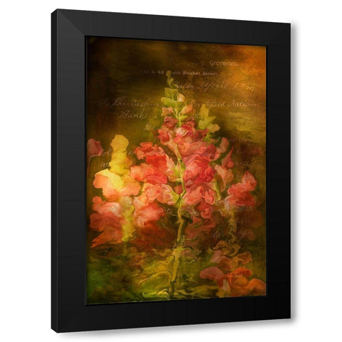 Snapdragon Twilight I Black Modern Wood Framed Art Print with Double Matting by Murdock, Ramona