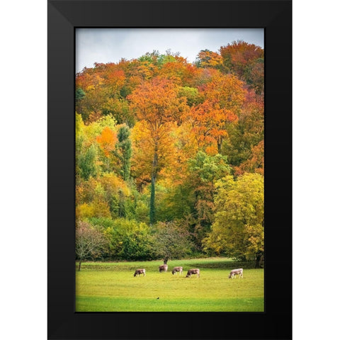 Peaceful Pasture Black Modern Wood Framed Art Print by Murdock, Ramona