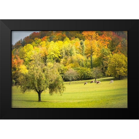 Peaceful Pasture II Black Modern Wood Framed Art Print by Murdock, Ramona