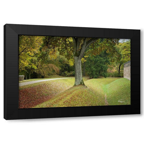 Outside the Wall II Black Modern Wood Framed Art Print with Double Matting by Murdock, Ramona