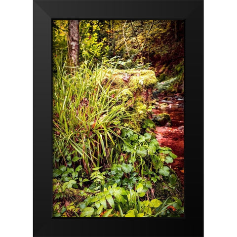 Black Forest River Bank Black Modern Wood Framed Art Print by Murdock, Ramona
