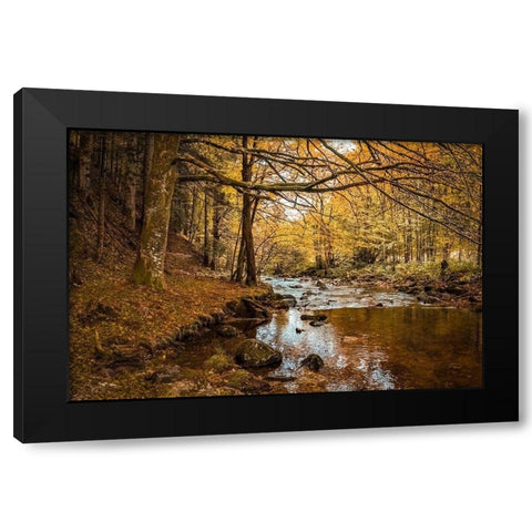 Black Forest River Black Modern Wood Framed Art Print with Double Matting by Murdock, Ramona