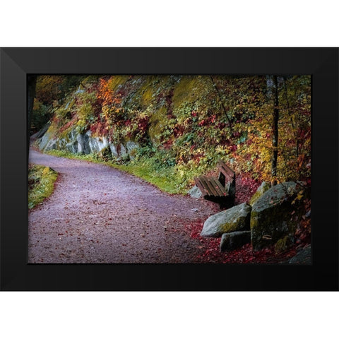 Black Forest Path Black Modern Wood Framed Art Print by Murdock, Ramona