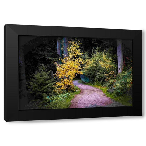Black Forest Path II Black Modern Wood Framed Art Print by Murdock, Ramona