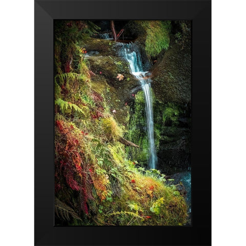 Black Forest Lower Falls Black Modern Wood Framed Art Print by Murdock, Ramona